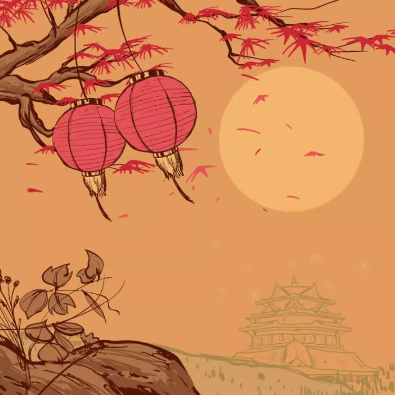 Japanse Furoshiki Sushi Lunch  - Furoshiki recensie en prijs